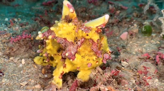 Dive+領(lǐng)路人的帖子