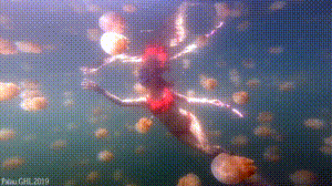 Dive+社區(qū)熱門(mén)帖子