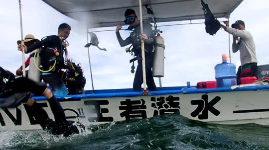 Dive+领路人的帖子