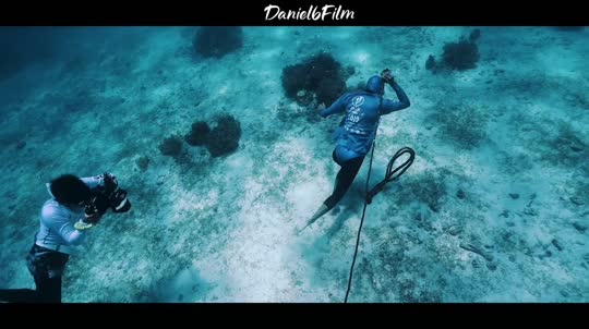 Dive+領路人的帖子