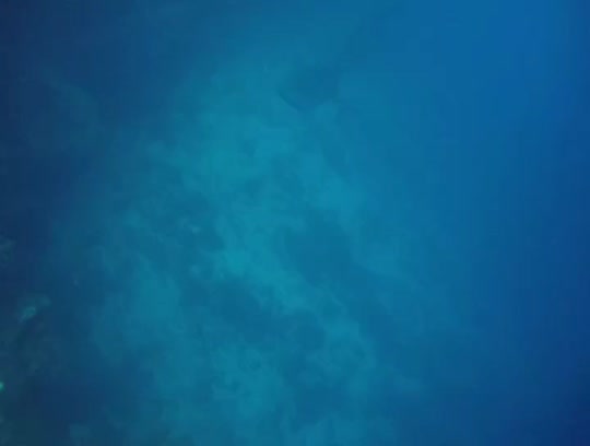 Dive+领路人的帖子