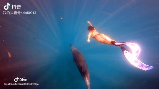Dive+领路人的帖子
