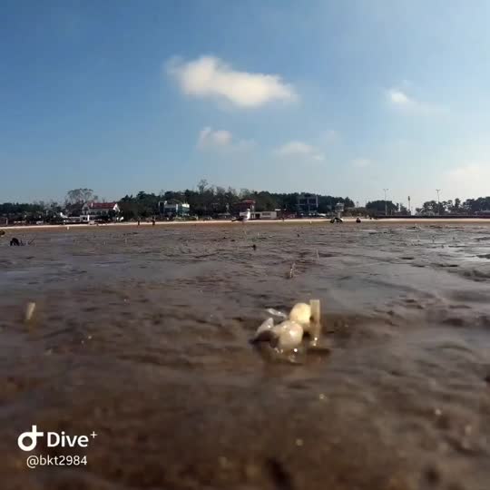 Dive+领路人的帖子